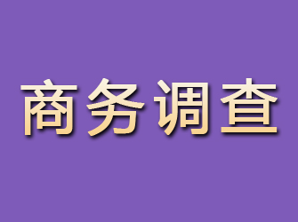 房山商务调查